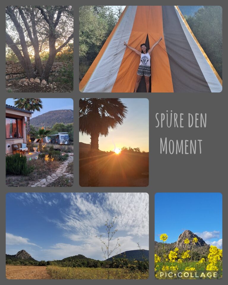 Collage 2025 05 07 12 12 38 768x960