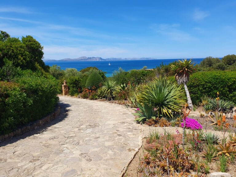 PHOTO 2025 05 06 14 48 04 768x576