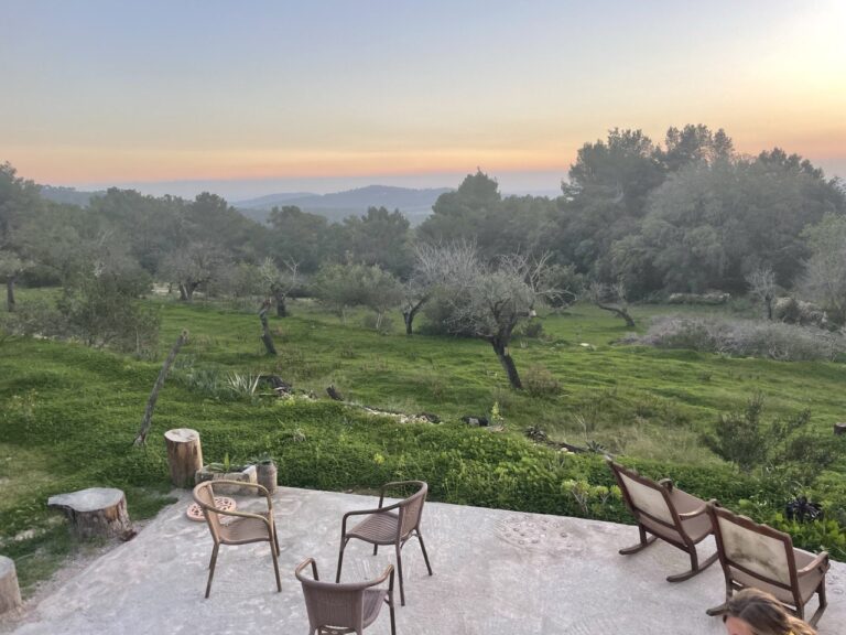 photo 5271670712429573119 y 768x576